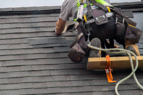 Storm Damage Siding Repair in South Apopka, FL